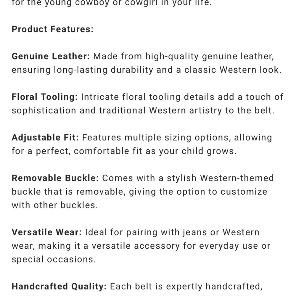 Cody James sz 28 kids Silver and Gold Western Belt Buckle - Picture 13 of 14